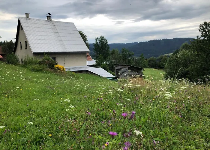 Venkovsky Dum Holiday home